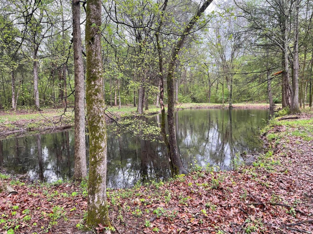 Charming Tiny Home! Close To Oxford, Sardis Lake, Safari Animal Zoo Exteriör bild
